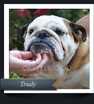 Trudy - Thumnail